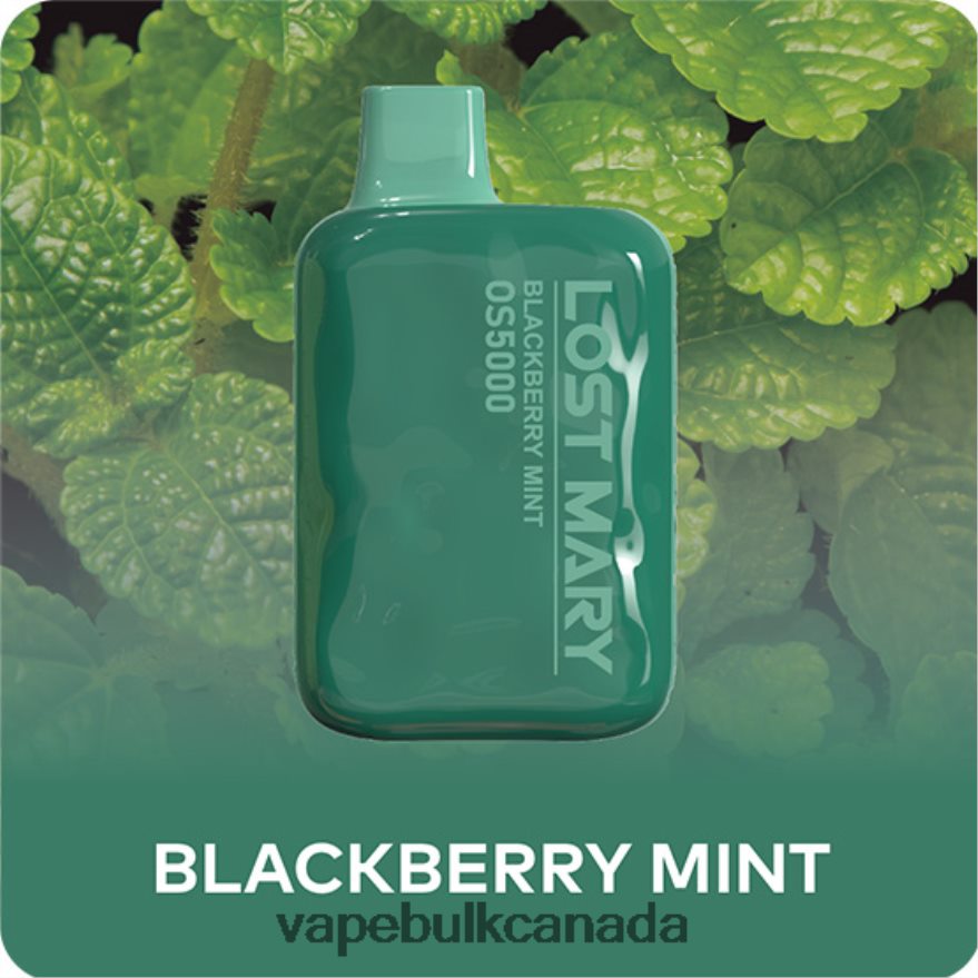 466BLN485 Blackberry Mint - Disposable Vape Wholesale Canada LOST MARY OS5000