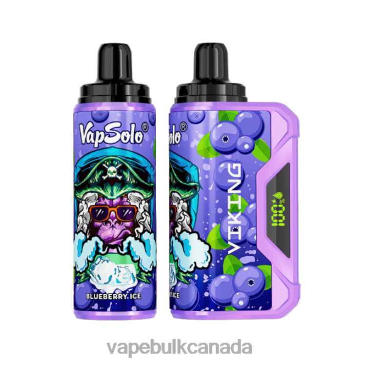 E Cig Wholesale - Vapsolo VIKING Disposable Vape Blueberry P60ZF130