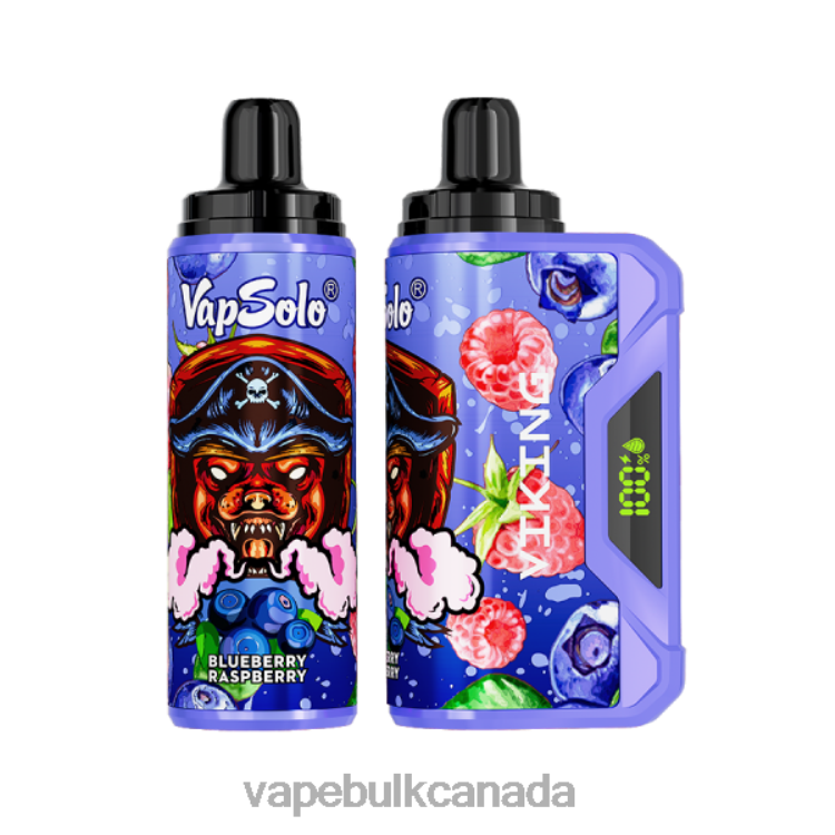 Vape Wholesale Canada - Vapsolo VIKING Disposable Vape Blueberry Raspberry P60ZF132