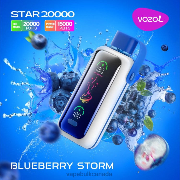 Disposable Vape Wholesale Canada - VOZOL STAR 20000 BZ6445 BLUEBERRY STORM