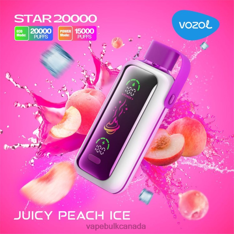 E Cig Wholesale - VOZOL STAR 20000 BZ64410 JUICY PEACH ICE