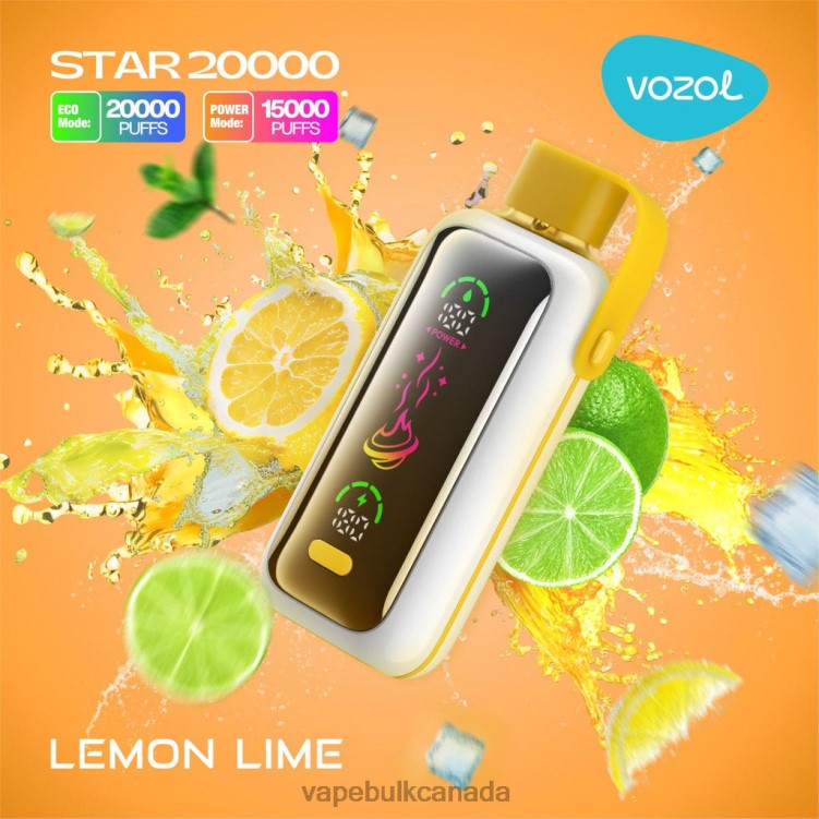 E Cigarette Wholesale - VOZOL STAR 20000 BZ64411 LEMON LIME