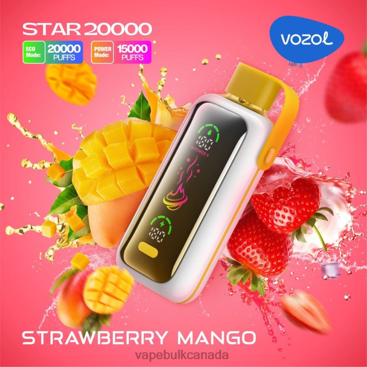 E Cigarette Wholesale - VOZOL STAR 20000 BZ6441 STRAWBERRY MANGO