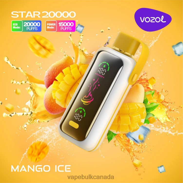 Vape Bulk Canada - VOZOL STAR 20000 BZ64413 MANGO ICE