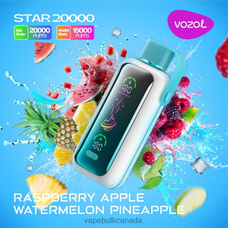 Vape Wholesale - VOZOL STAR 20000 BZ64418 RASPBERRY APPLE WATERMELON PINEAPPLE