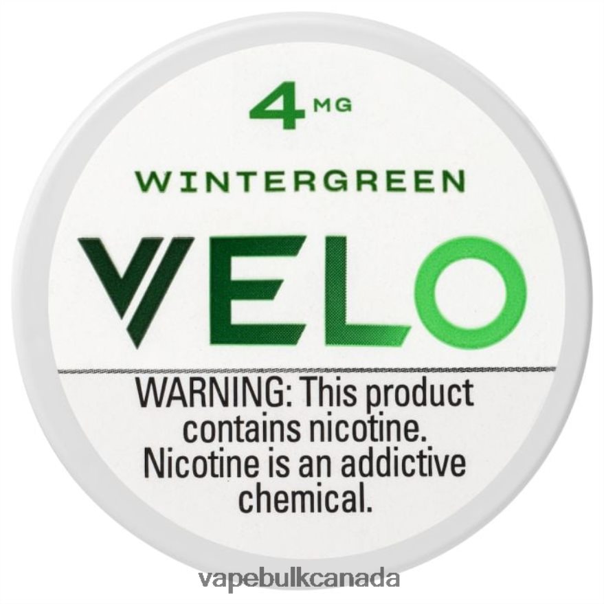 466BLN38 Wintergreen - Vice Vape Wholesale Canada VELO Nicotine Pouch 4mg