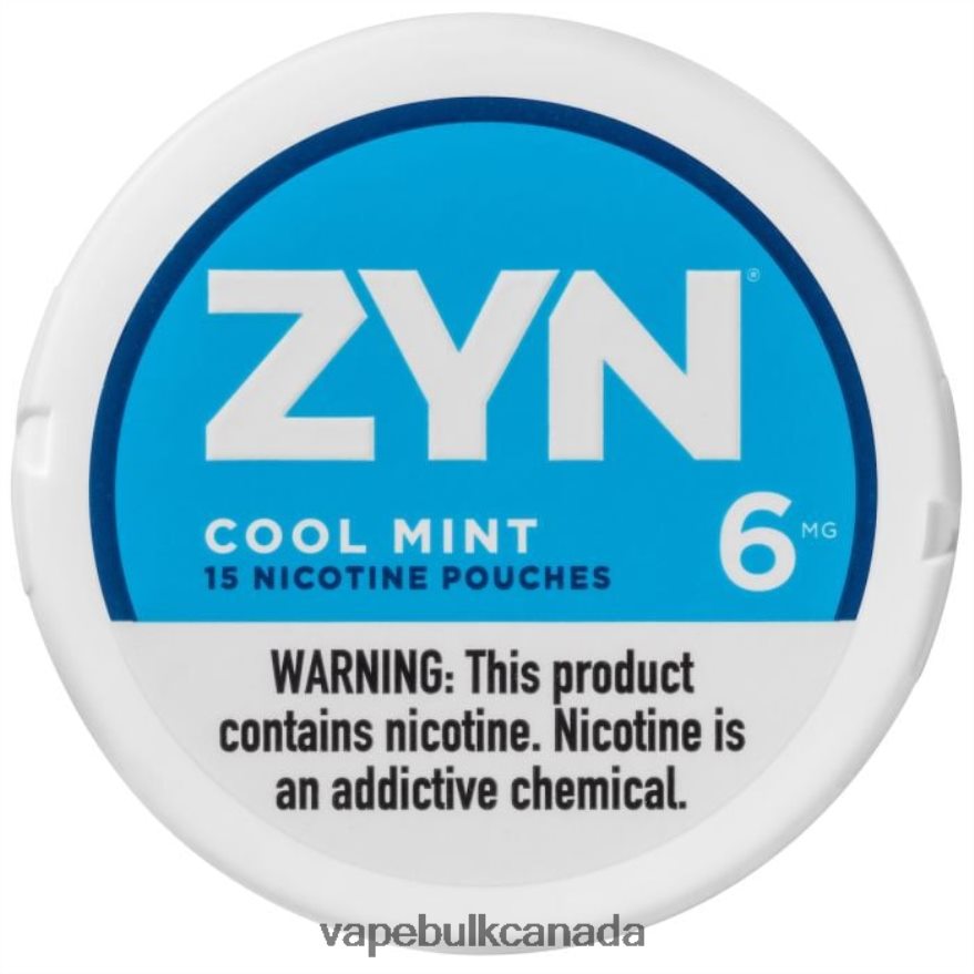 466BLN16 Cool Mint - Vape Juice Wholesale Canada ZYN Nicotine Pouch 6mg